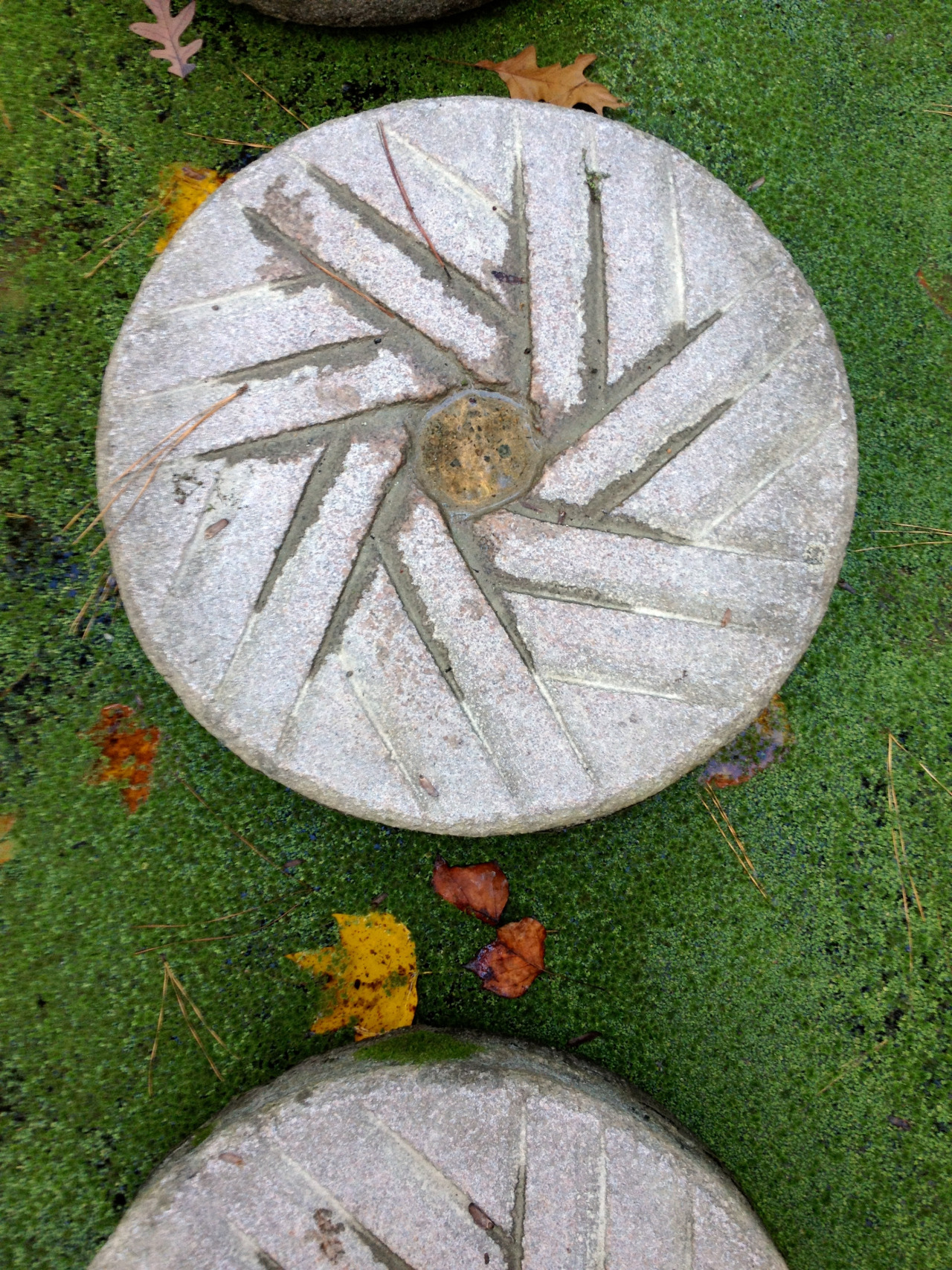 photo of circular stone in green moss