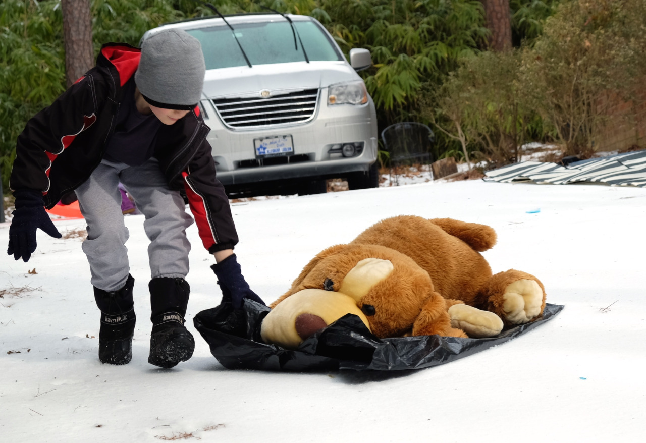 young boy giving a sled ride for his large stuffed dog