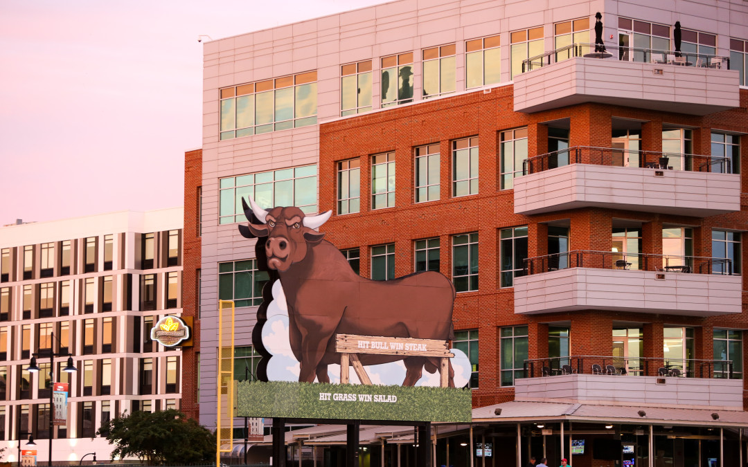 Durham Bulls Park Off Season Photos